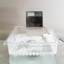 sous vide stick sous vide stick test