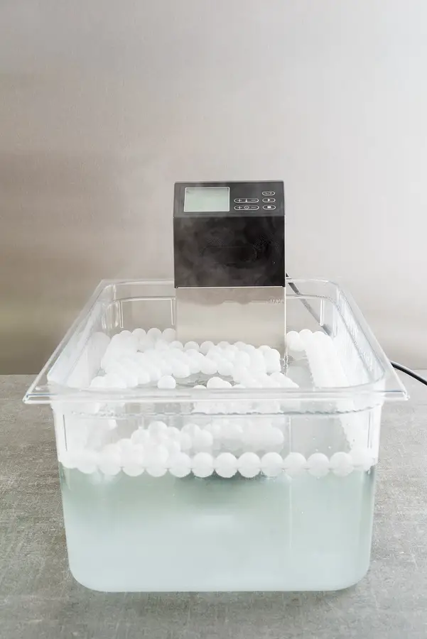 Top 10 Sous Vide Stick Test & Vergleich 2021 | Zehn Besten