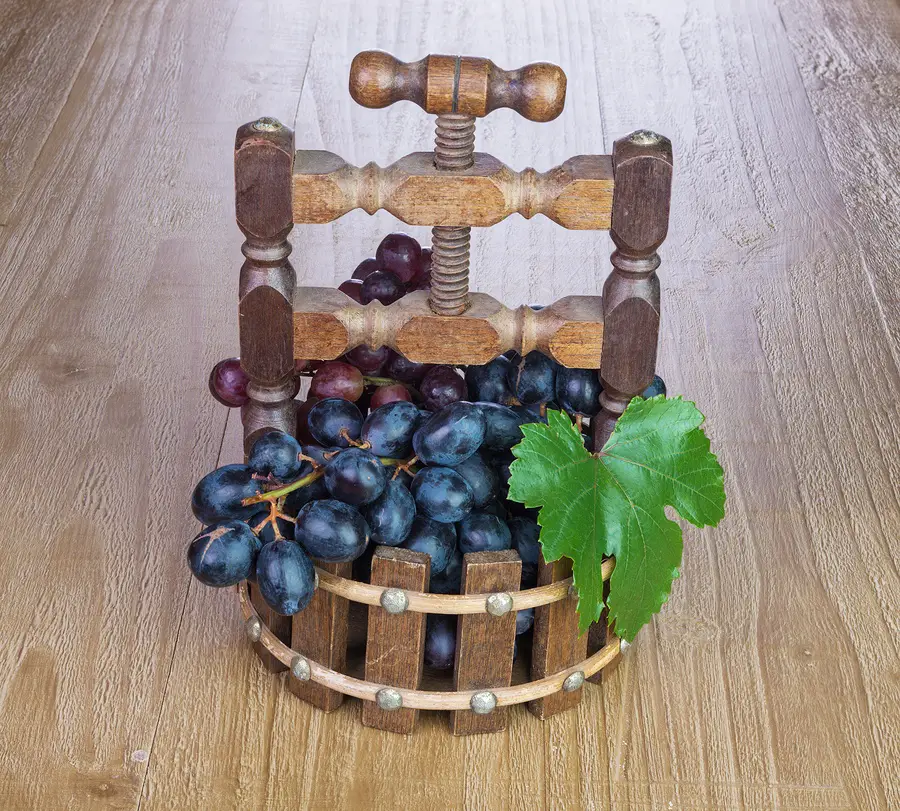 obstpresse obstpresse test